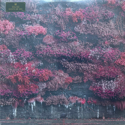 Sleep Token : Even In Arcadia (2xLP, Album, Opa)