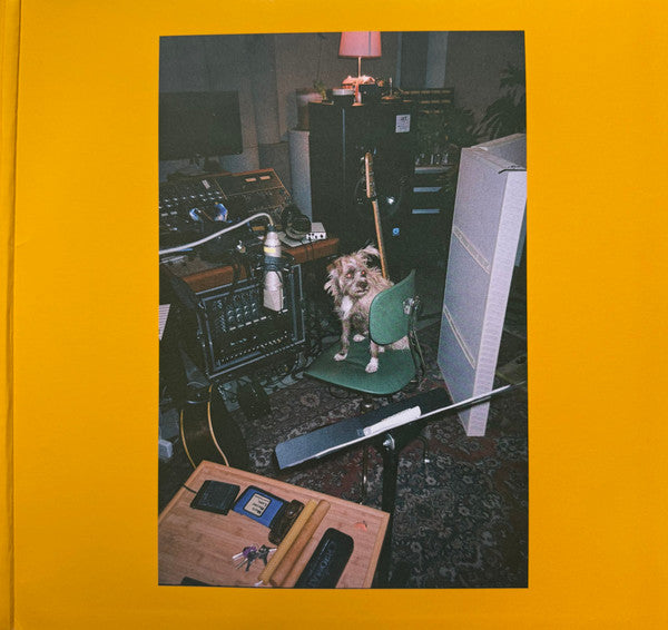 Mac Demarco : Guitar (LP, Album)