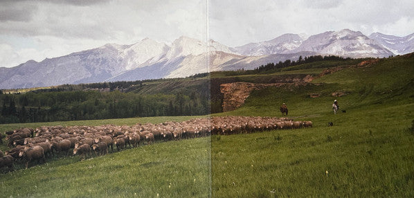 Various : Brokeback Mountain (Original Motion Picture Soundtrack) (LP, Album, S/Edition, 20t)