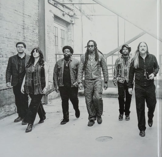 Tedeschi Trucks Band : Future Soul (LP, Album, Ltd, Sea)