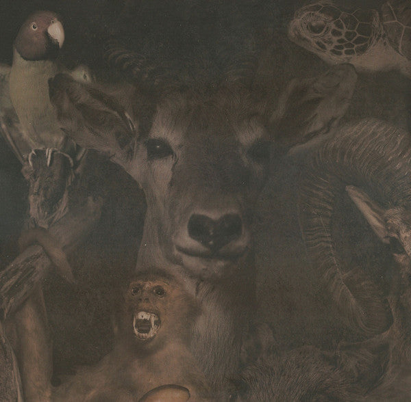 Graveyard (3) : Lights Out (LP, Album, Ltd, Num, RP, Whi)