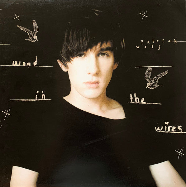 Patrick Wolf : Wind In The Wires (LP, Album)