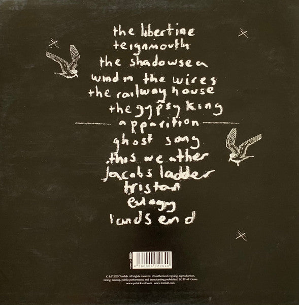 Patrick Wolf : Wind In The Wires (LP, Album)