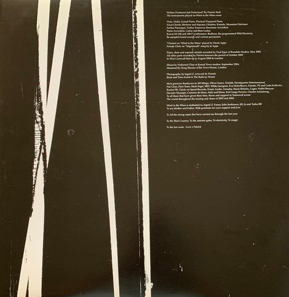 Patrick Wolf : Wind In The Wires (LP, Album)