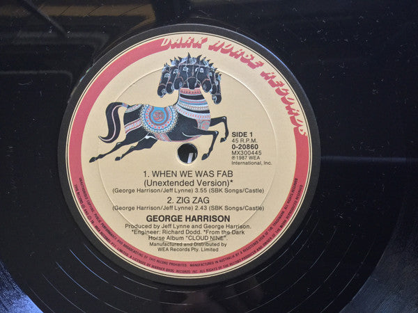 George Harrison : When We Was Fab (12")