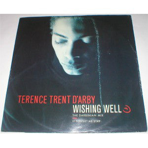 Terence Trent D'Arby : Wishing Well (The Darbinian Mix) (12")