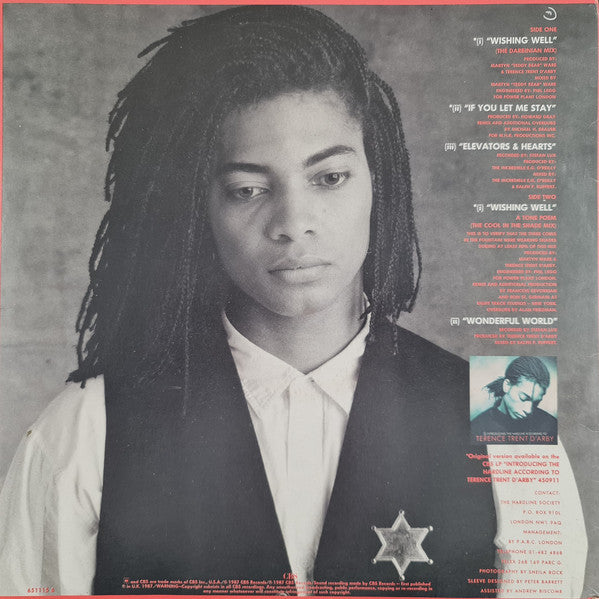 Terence Trent D'Arby : Wishing Well (The Darbinian Mix) (12")