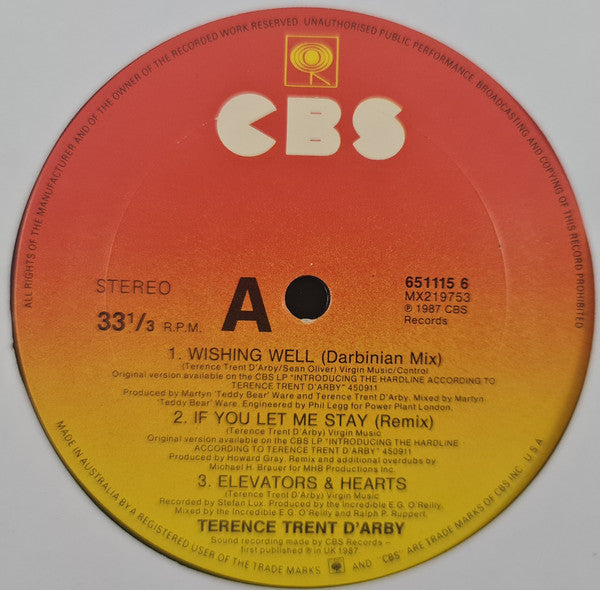 Terence Trent D'Arby : Wishing Well (The Darbinian Mix) (12")