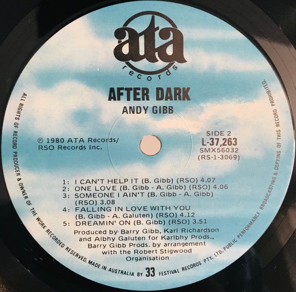 Andy Gibb : After Dark (LP, Album)