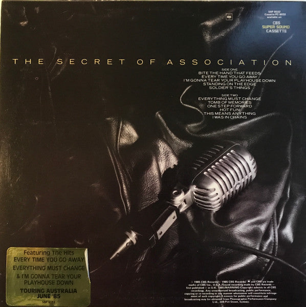 Paul Young : The Secret Of Association (LP, Album)