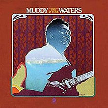 Muddy Waters : "Unk" In Funk (LP, Album)