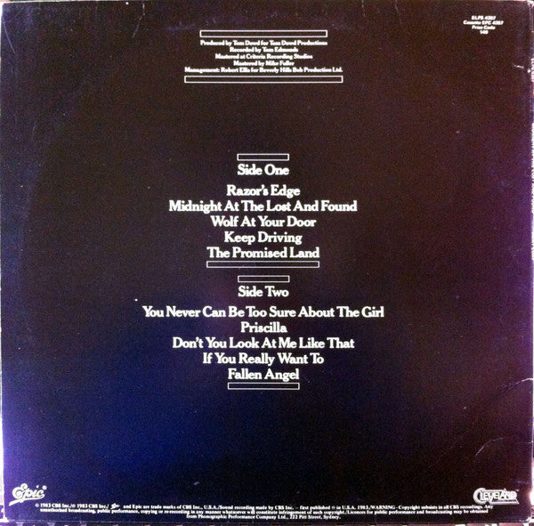 Meat Loaf : Midnight At The Lost And Found (LP, Album)