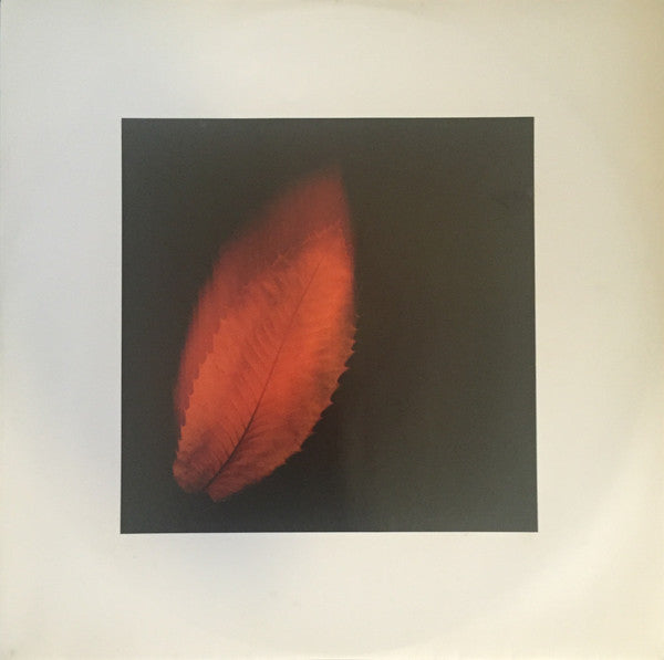Peter Gabriel : Shaking The Tree (Twelve Golden Greats) (LP, Comp)