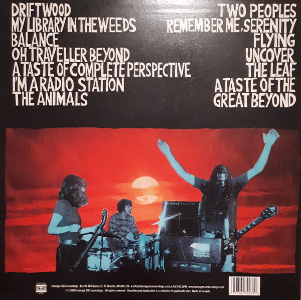 Elevator (3) : A Taste Of Complete Perspective (LP, Album, Tra)