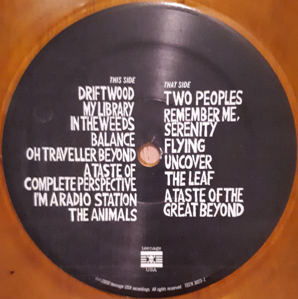 Elevator (3) : A Taste Of Complete Perspective (LP, Album, Tra)