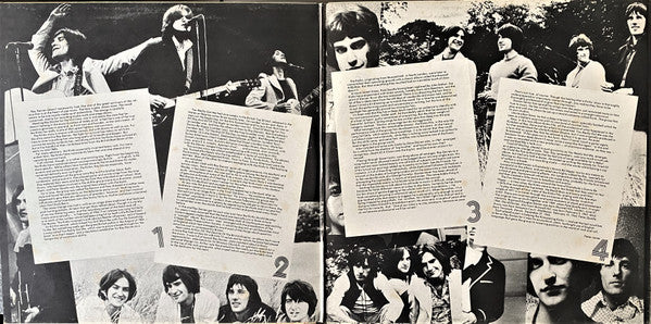 The Kinks : The File Series - The Kinks (2xLP, Comp, Gat)