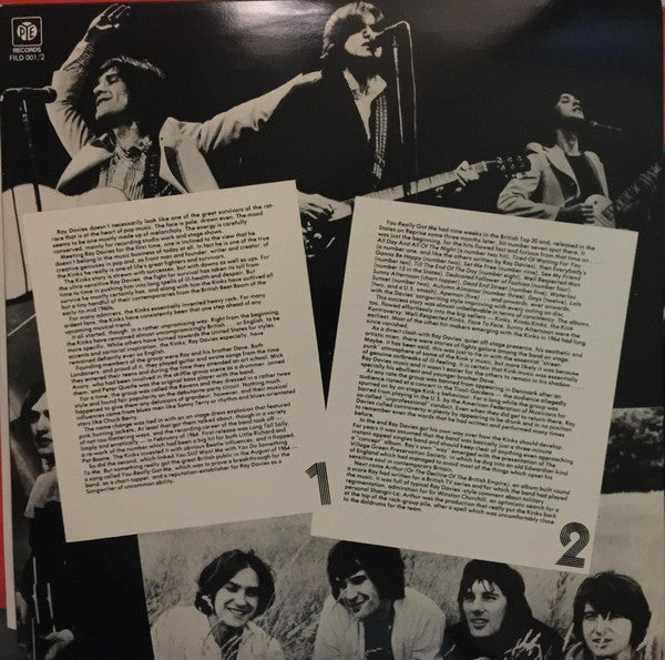 The Kinks : The File Series - The Kinks (2xLP, Comp, Gat)