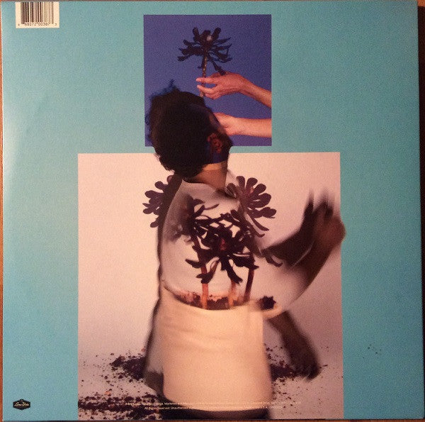 Local Natives : Sunlit Youth (LP, Album)