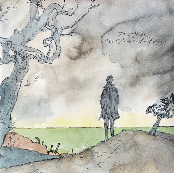 James Blake : The Colour In Anything (2xLP, Album)