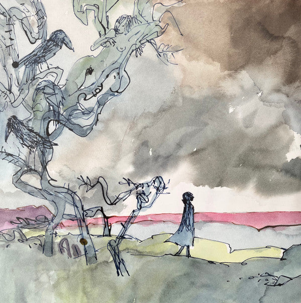 James Blake : The Colour In Anything (2xLP, Album)