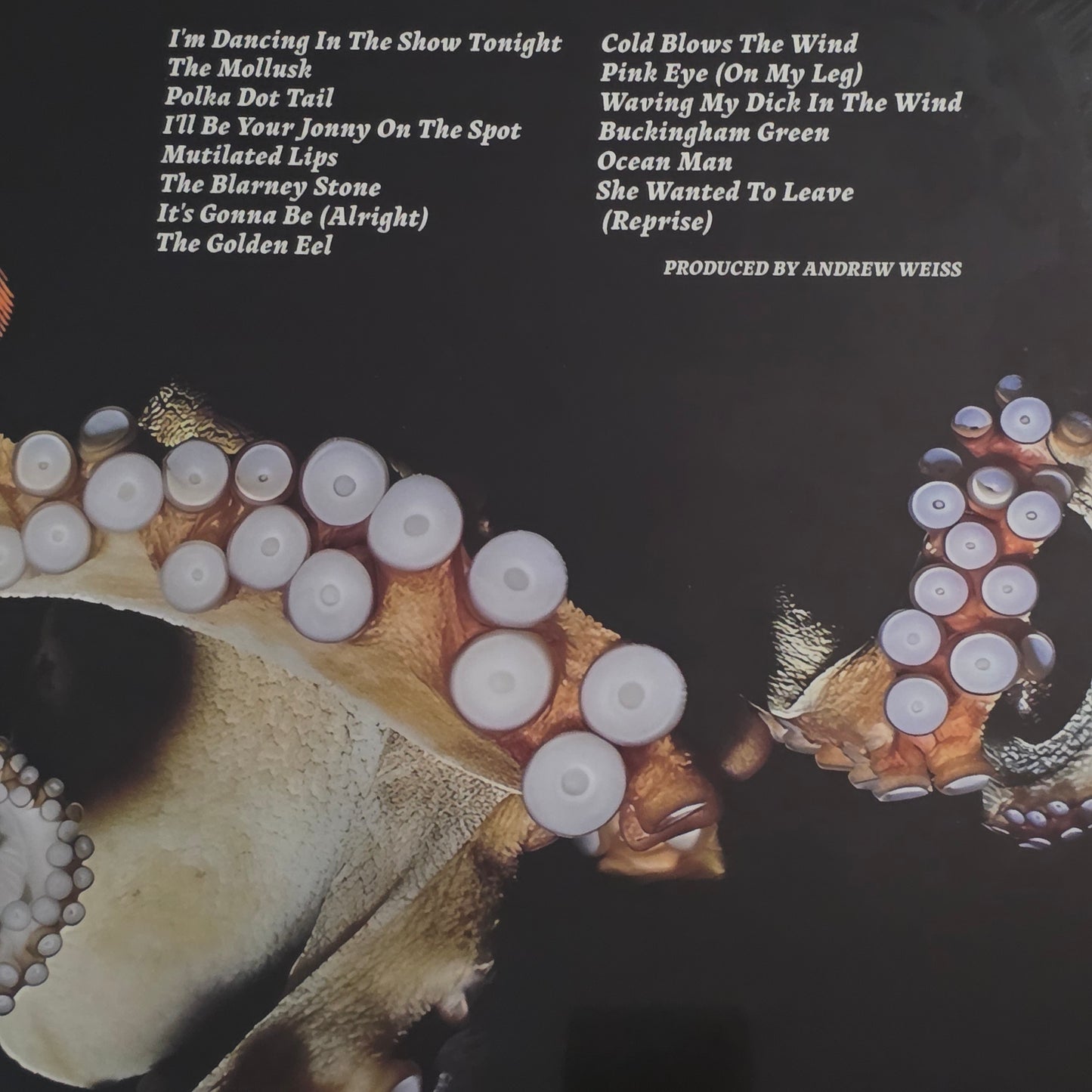 WEEN - The Mollusk Vinyl Record LP