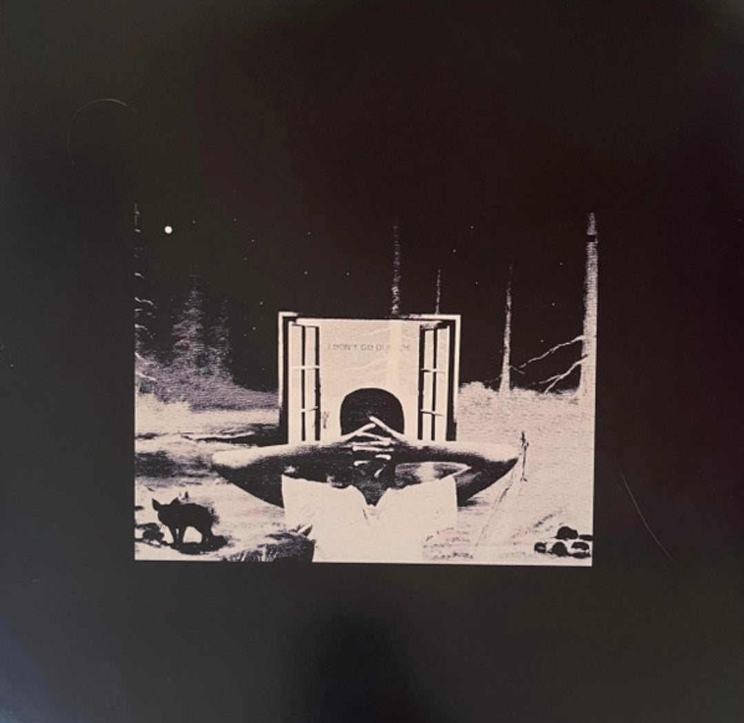 Earl Sweatshirt - I Don't Like Shit, I Don't Go Outside (An Album By Earl Sweatshirt) (LP, Album, RE) Vinyl Record / LP