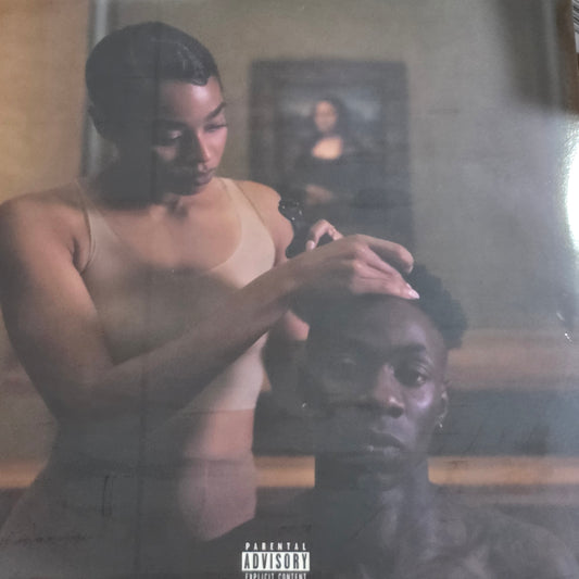 The Carters - Everything is Love Vinyl Record LP Coloured  + Poster ( Jay Z Beyonce )