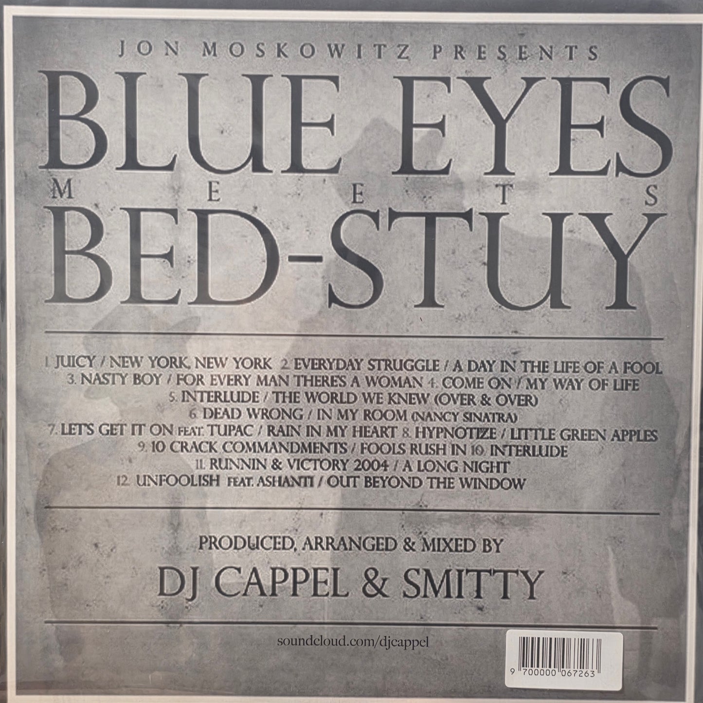 Sinatra VS Biggie - Blue Eyes Meets Bed-Stuy Frand Sinatra / Notorious BIG Vinyl Record Mixtape Mashup